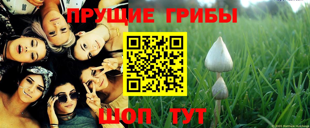 Южно-Сахалинск  Галлюциногенные грибы Magic Shrooms  Вход с VPN 